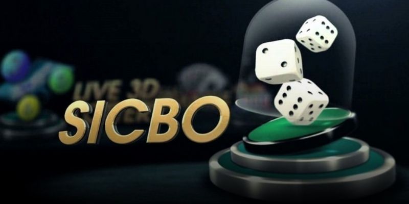 Sicbo là trò gì - câu hỏi được nhiều hội viên thắc mắc nhất 