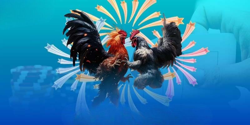 tong quan ve san choi da ga ee88 Tổng quan về sân chơi đá gà EE88